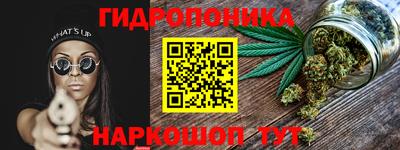 стаф Аргун