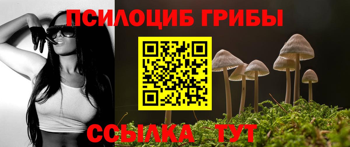 Псилоцибиновые грибы мицелий Верхний Уфалей